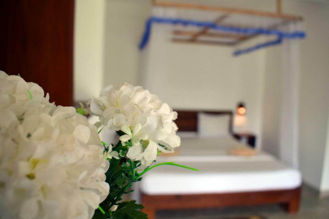 Bed and Breakfast The Chillout Елла Екстер'єр фото